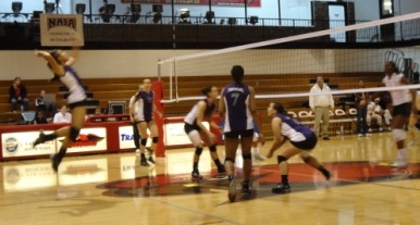 Lady Cats Fall in Finals